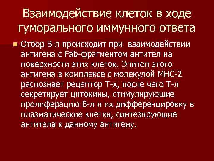 Взаимодействие клеток в ходе гуморального иммунного ответа n Отбор В-л происходит при взаимодействии антигена