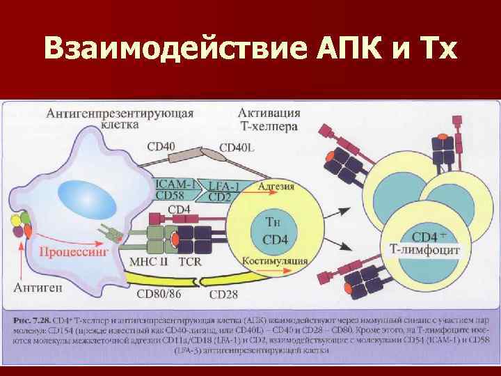 Взаимодействие АПК и Тх 