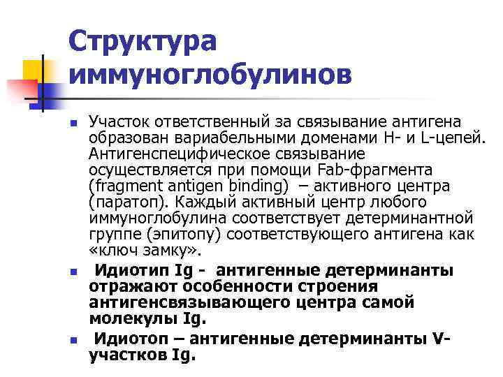 Структура иммуноглобулинов n n n Участок ответственный за связывание антигена образован вариабельными доменами H-