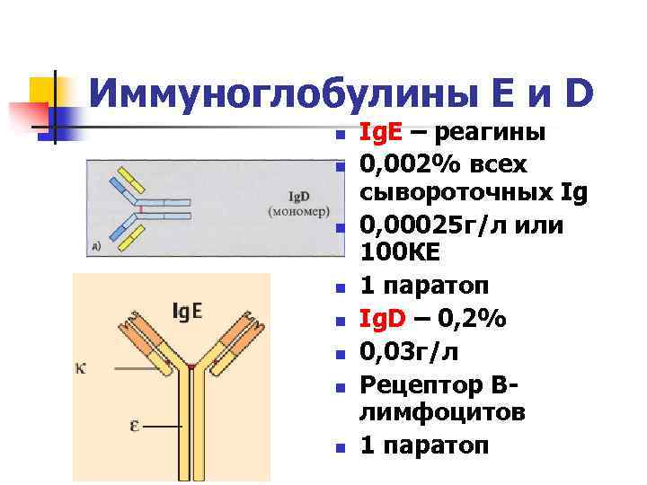 Иммуноглобулины Е и D n n n n Ig. E – реагины 0, 002%