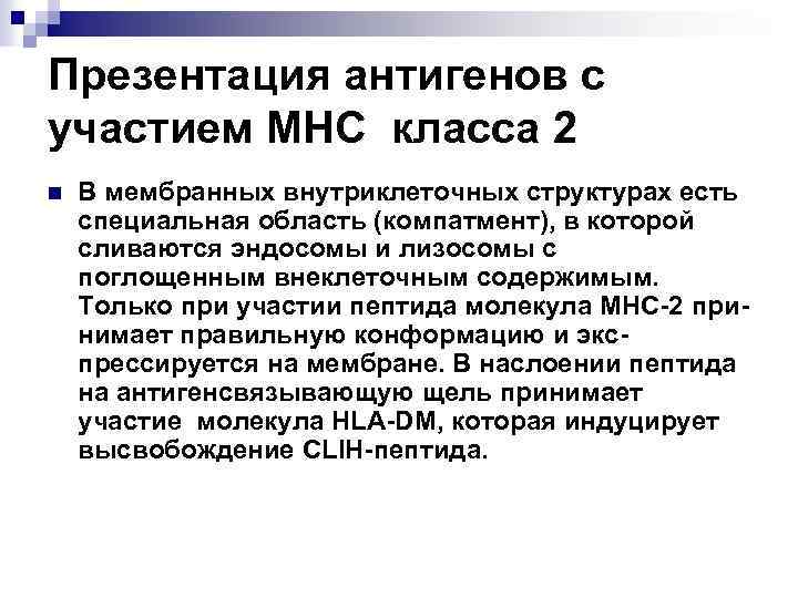 Презентация антигенов с участием МНС класса 2 n В мембранных внутриклеточных структурах есть специальная