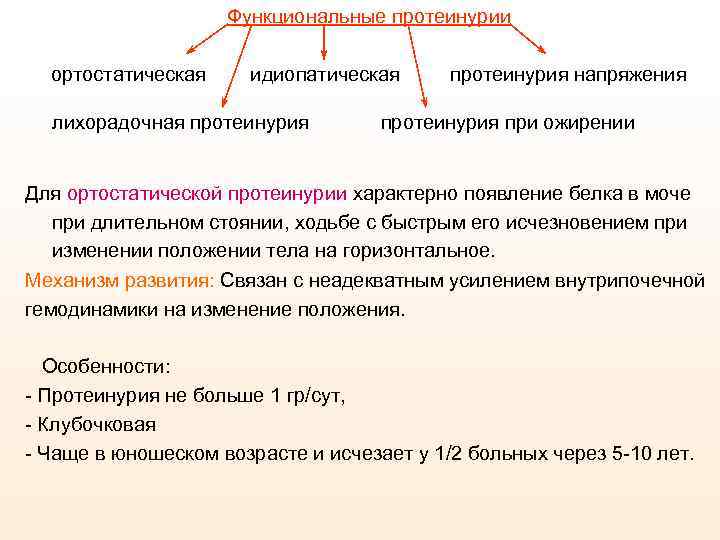 Функциональные протеинурии ортостатическая идиопатическая лихорадочная протеинурия напряжения протеинурия при ожирении Для ортостатической протеинурии характерно