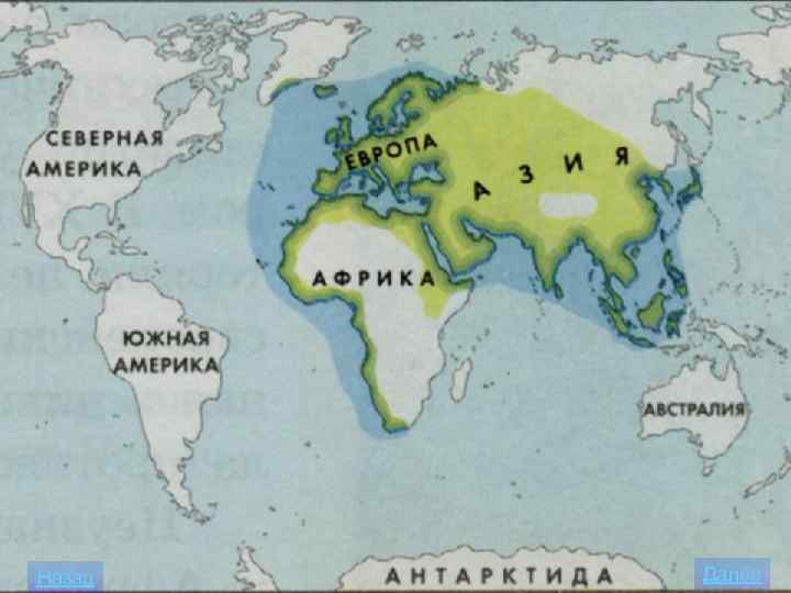 Назад Далее 