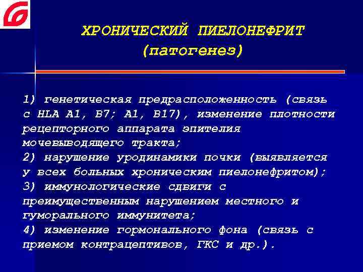 ХРОНИЧЕСКИЙ ПИЕЛОНЕФРИТ (патогенез) 1) генетическая предрасположенность (связь с HLA А 1, В 7; А