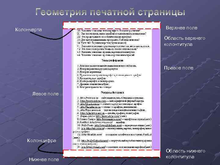 Колончерта Верхнее поле Область верхнего колонтитула Правое поле Левое поле Колонцифра Нижнее поле Область