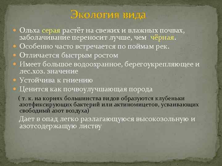 Экология вида Ольха серая растёт на свежих и влажных почвах, заболачивание переносит лучше, чем