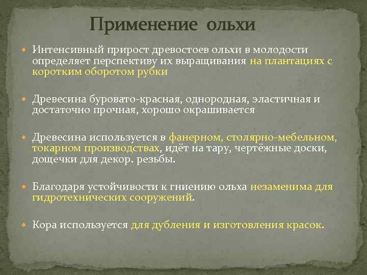 Применение ольхи Интенсивный прирост древостоев ольхи в молодости определяет перспективу их выращивания на плантациях