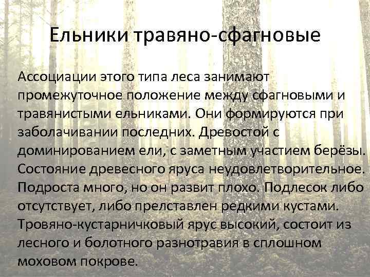 Ельники травяно-сфагновые Ассоциации этого типа леса занимают промежуточное положение между сфагновыми и травянистыми ельниками.