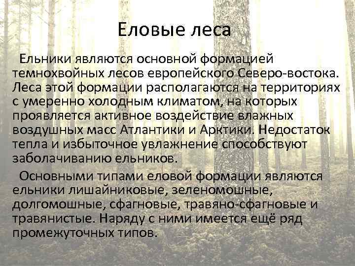 Еловые леса Ельники являются основной формацией темнохвойных лесов европейского Северо-востока. Леса этой формации располагаются