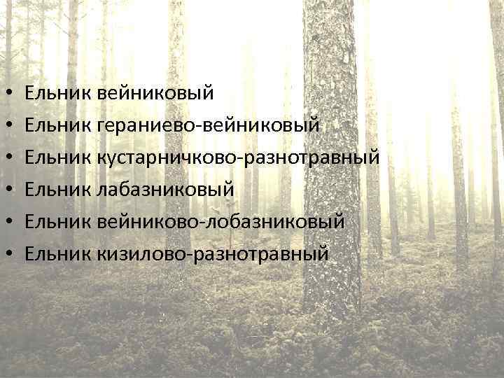  • • • Ельник вейниковый Ельник гераниево-вейниковый Ельник кустарничково-разнотравный Ельник лабазниковый Ельник вейниково-лобазниковый