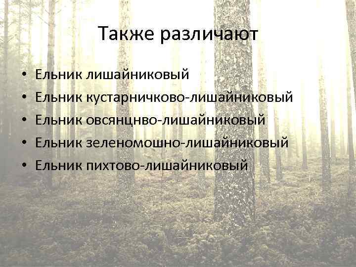 Также различают • • • Ельник лишайниковый Ельник кустарничково-лишайниковый Ельник овсянцнво-лишайниковый Ельник зеленомошно-лишайниковый Ельник