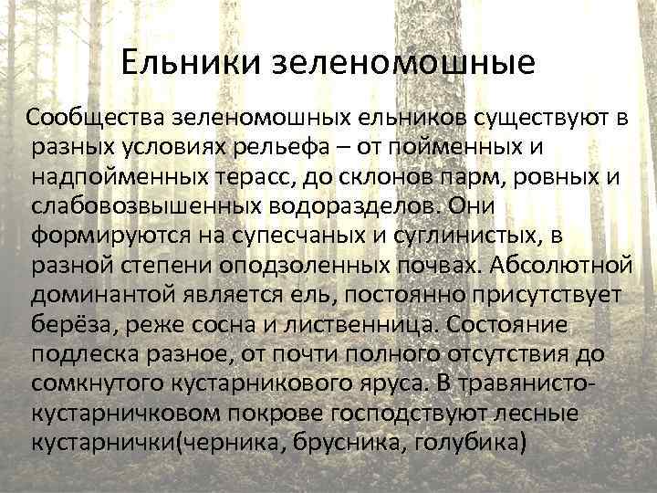 Ельники зеленомошные Сообщества зеленомошных ельников существуют в разных условиях рельефа – от пойменных и