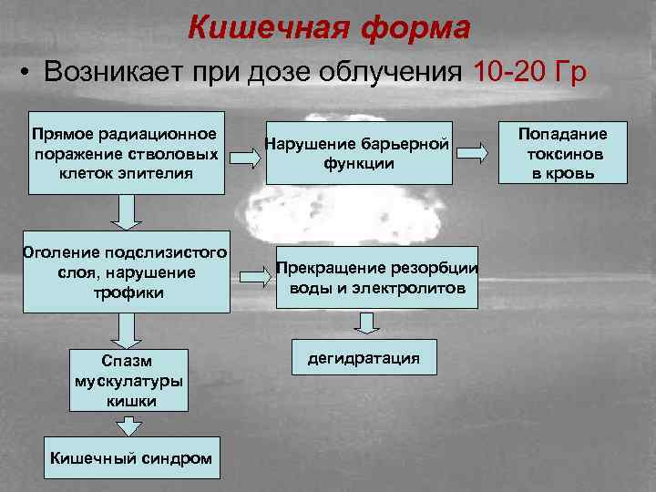 Кишечная форма острой лучевой болезни презентация