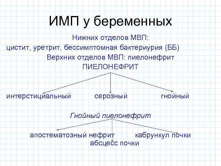 ИМП у беременных Нижних отделов МВП: цистит, уретрит, бессимптомная бактериурия (ББ) Верхних отделов МВП: