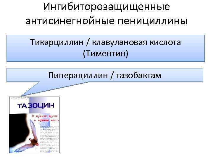 Антибактериальные средства презентация