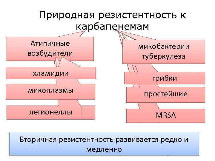 Природная резистентность к карбапенемам Атипичные возбудители хламидии микобактерии туберкулеза грибки микоплазмы простейшие легионеллы MRSA