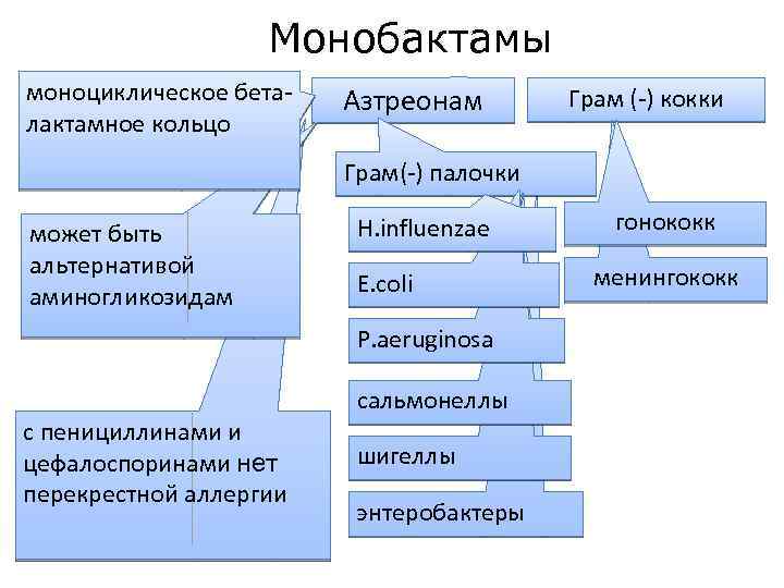 Монобактамы моноциклическое беталактамное кольцо Азтреонам Грам (-) кокки Грам(-) палочки может быть альтернативой аминогликозидам