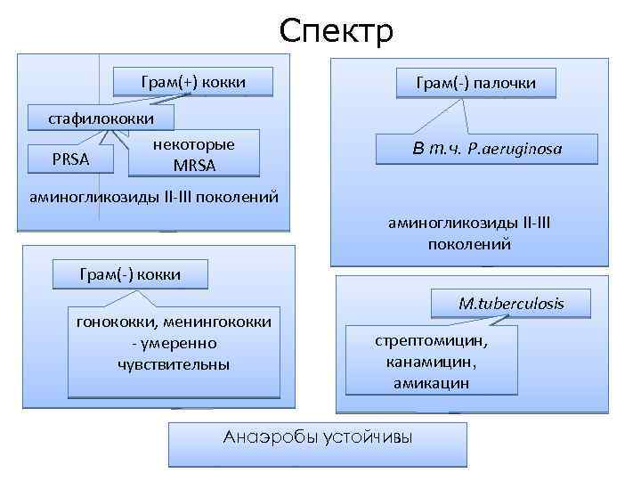 Спектр Грам(+) кокки стафилококки некоторые PRSA MRSA Грам(-) палочки В т. ч. P. aeruginosa