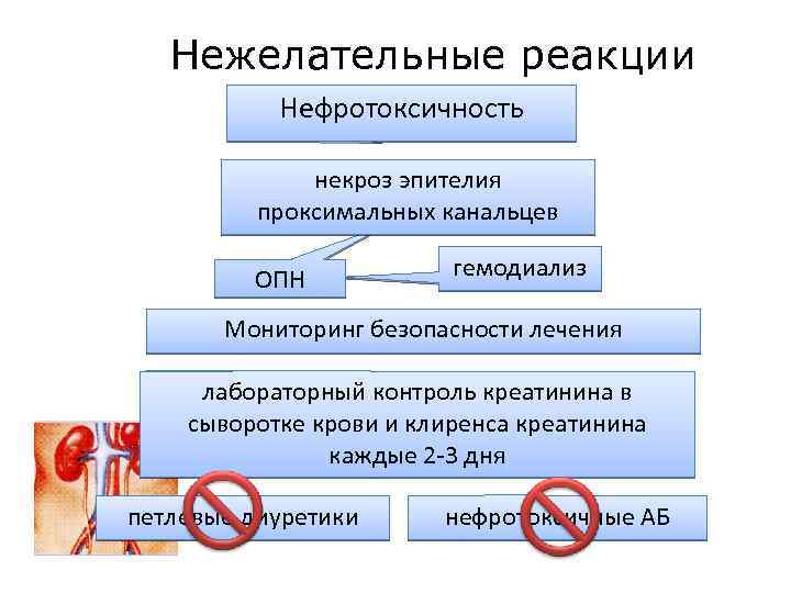 Нежелательные реакции Нефротоксичность некроз эпителия проксимальных канальцев ОПН гемодиализ Мониторинг безопасности лечения лабораторный контроль