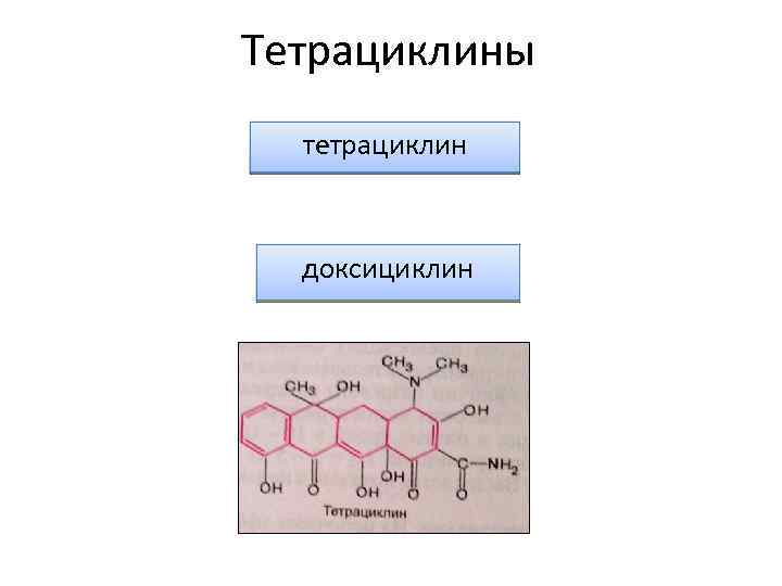 Тетрациклины тетрациклин доксициклин 