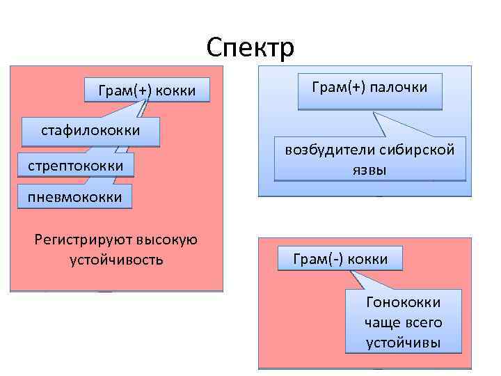 Спектр Грам(+) кокки стафилококки стрептококки Грам(+) палочки возбудители сибирской язвы пневмококки Регистрируют высокую устойчивость