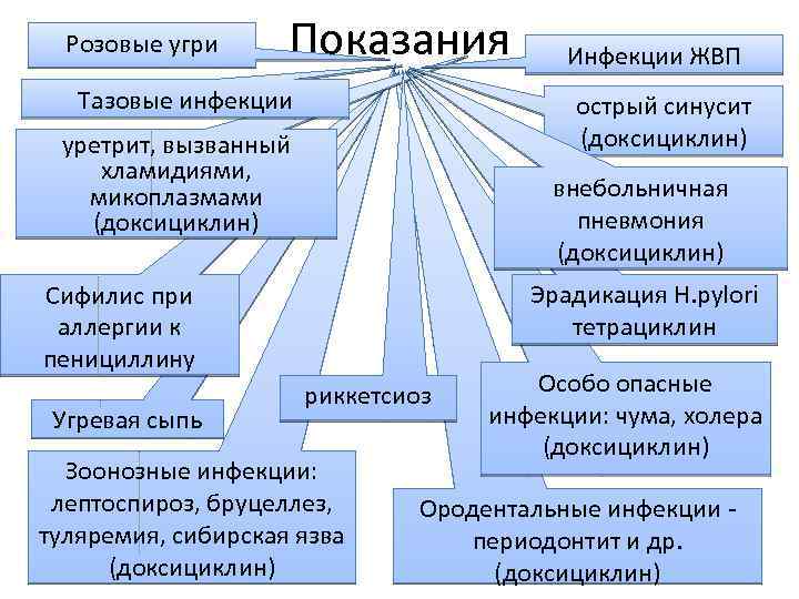 Антибактериальные препараты презентация