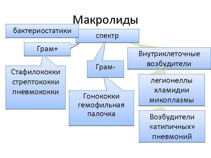 Антибактериальные препараты презентация