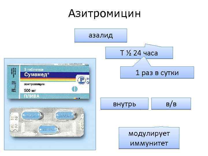Азитромицин азалид Т ½ 24 часа 1 раз в сутки внутрь в/в модулирует иммунитет