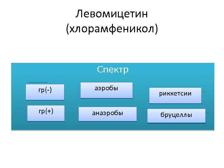 Левомицетин фармакология презентация