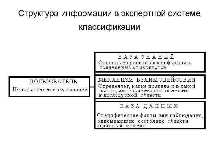 Структура информации в экспертной системе классификации 