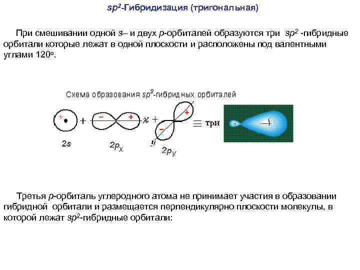 sp 2 -Гибридизация (тригональная) При смешивании одной s– и двух р-орбиталей образуются три sp