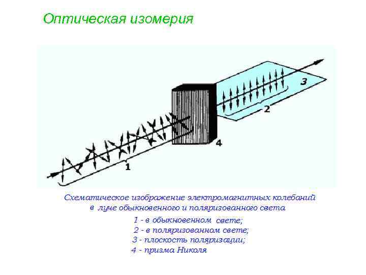 Оптическая изомерия 