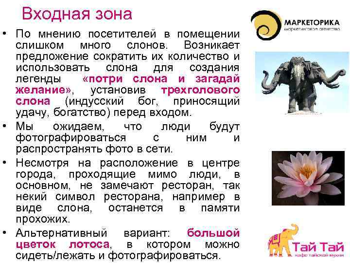 Входная зона • По мнению посетителей в помещении слишком много слонов. Возникает предложение сократить