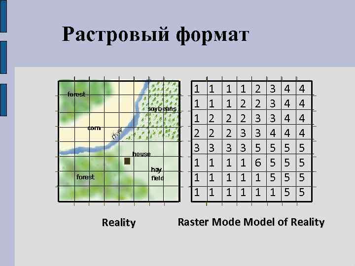 Растровый формат 1 1 1 2 3 1 1 1 Reality 1 1 2