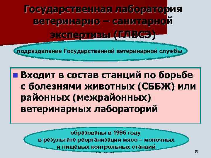 Государственная лаборатория ветеринарно – санитарной экспертизы (ГЛВСЭ) подразделение Государственной ветеринарной службы n Входит в