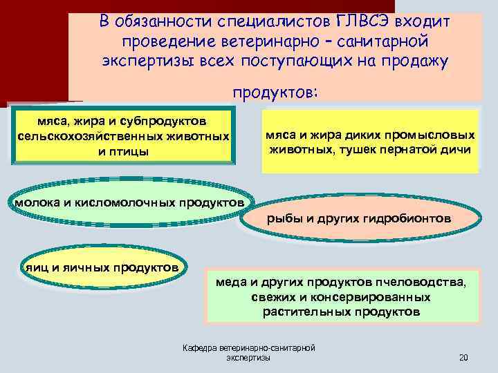 В обязанности специалистов ГЛВСЭ входит проведение ветеринарно – санитарной экспертизы всех поступающих на продажу