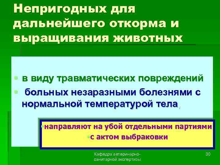Непригодных для дальнейшего откорма и выращивания животных § в виду травматических повреждений § больных