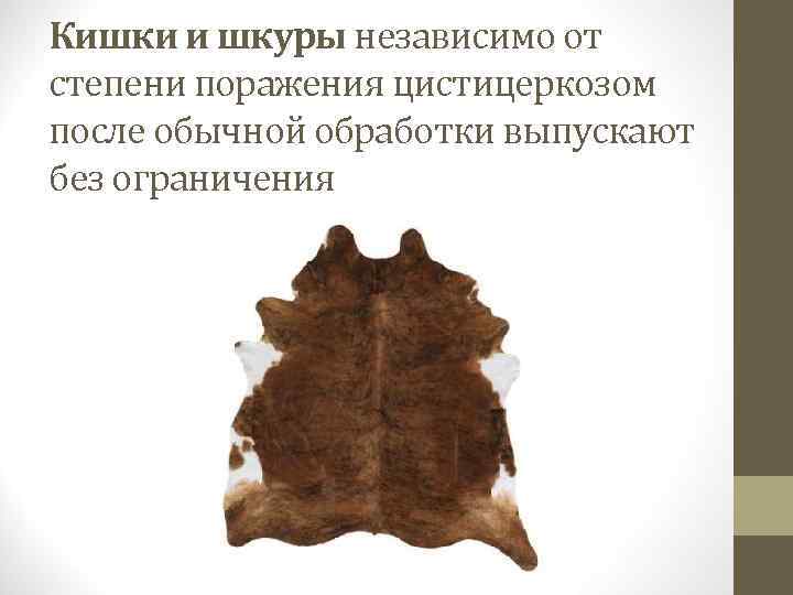 Кишки и шкуры независимо от степени поражения цистицеркозом после обычной обработки выпускают без ограничения