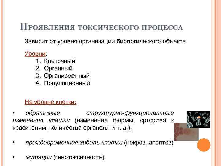 Проявления токсического процесса. Токсический процесс на Органном уровне. Формы проявления токсического процесса. Уровни токсического процесса.