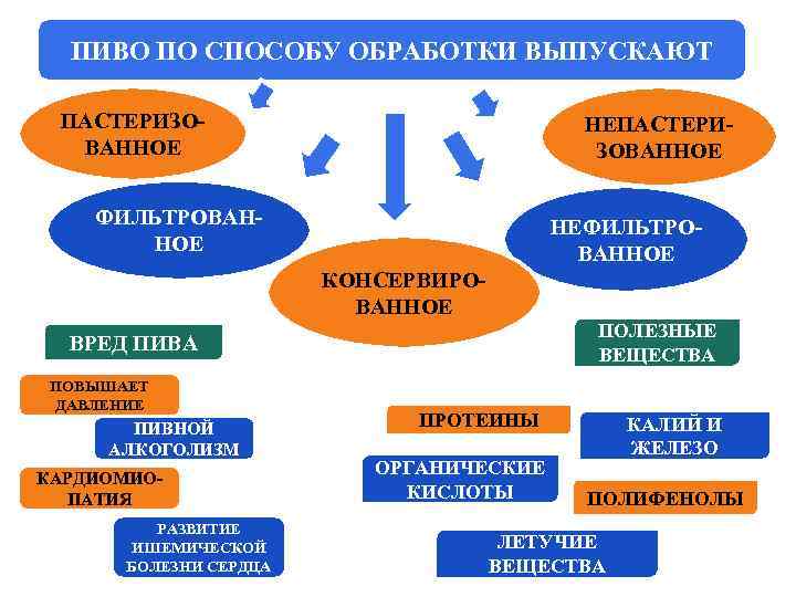 ПИВО ПО СПОСОБУ ОБРАБОТКИ ВЫПУСКАЮТ ПАСТЕРИЗОВАННОЕ НЕПАСТЕРИЗОВАННОЕ ФИЛЬТРОВАННОЕ НЕФИЛЬТРОВАННОЕ КОНСЕРВИРОВАННОЕ ПОЛЕЗНЫЕ ВЕЩЕСТВА ВРЕД ПИВА