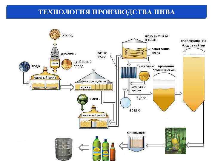 ТЕХНОЛОГИЯ ПРОИЗВОДСТВА ПИВА 