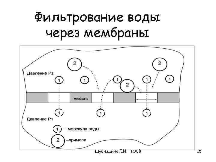 Фильтрование воды через мембраны Шубницина Е. И. ТОСВ 15 
