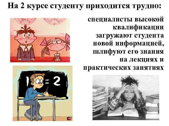 На 2 курсе студенту приходится трудно: специалисты высокой квалификации загружают студента новой информацией, шлифуют