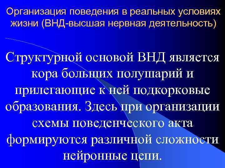 Организация поведения в реальных условиях жизни (ВНД-высшая нервная деятельность) Структурной основой ВНД является кора