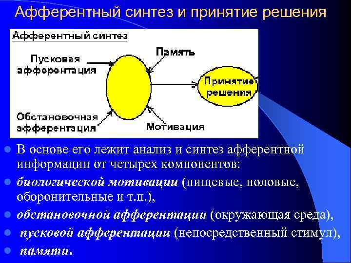 Афферентный синтез и принятие решения l l l В основе его лежит анализ и