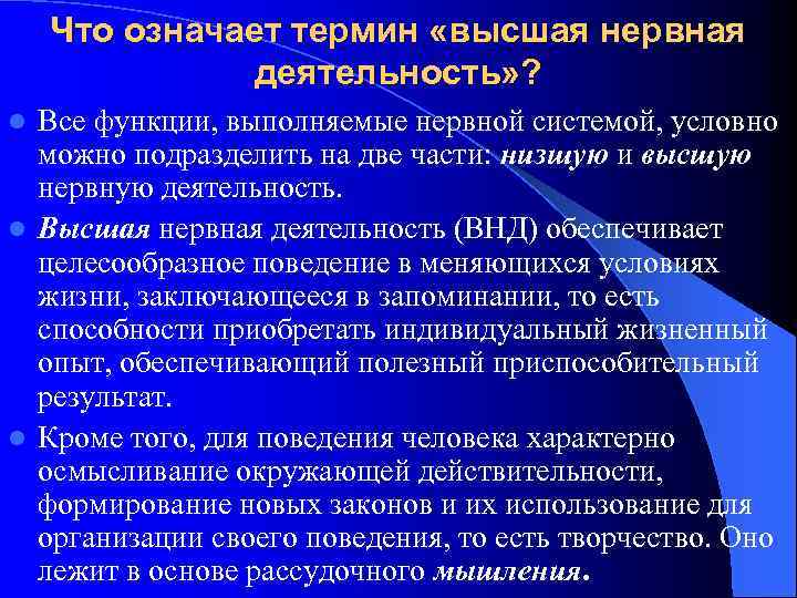 Что означает термин «высшая нервная деятельность» ? Все функции, выполняемые нервной системой, условно можно