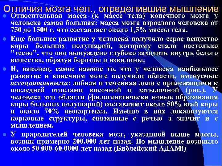 Отличия мозга чел. , определившие мышление Относительная масса (к массе тела) конечного мозга у