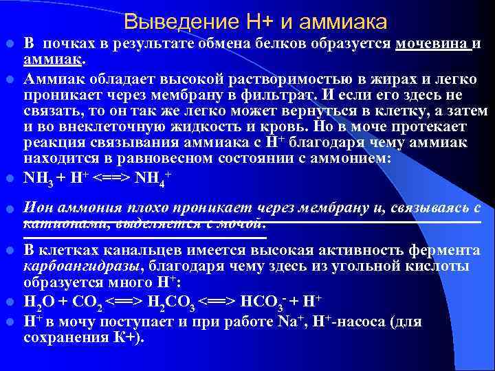 Выведение Н+ и аммиака В почках в результате обмена белков образуется мочевина и аммиак.