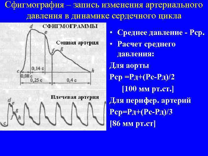 Сфигмография – запись изменения артериального давления в динамике сердечного цикла • Среднее давление -