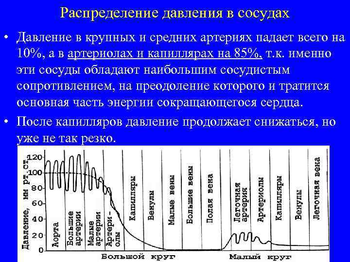 Распределение давления в сосудах • Давление в крупных и средних артериях падает всего на